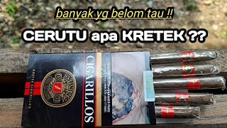 REVIEW DJARUM CIGARILLOS || KRETEK ATAU CERUTU ????