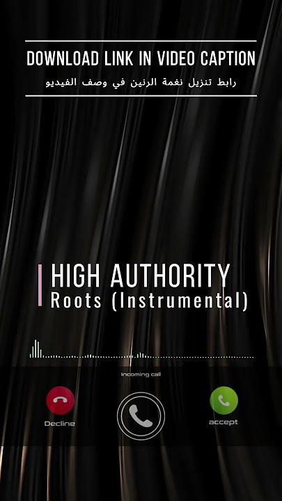 High Authority - Roots (Instrumental)