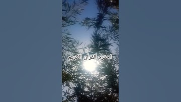 احترم القرآن الكريم #اكسبلور #المصحف #لايك #الرحمن #قران_كريم