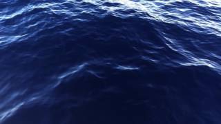 Video thumbnail of ""Pacific" - Sleeping At Last (Micro Music Video)"