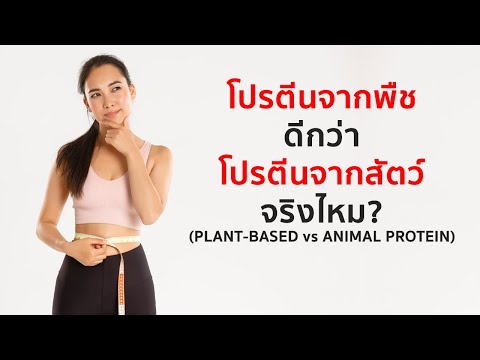 Plant-based vs Animal Protein อะไรดีกว่า?