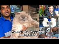 Largest collection of pets in Bangalore | Karnataka Aquarium.