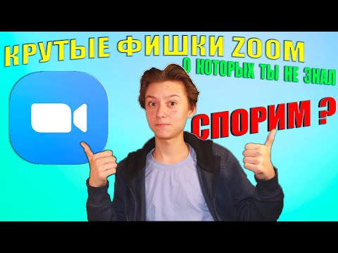 Крутые Фишки Приложения Zoom о Которых Ты Не Знал ! СПОРИМ ?