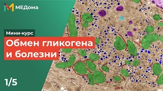 Болезни накопления гликогена /USMLE step 1 1/5 | Медома