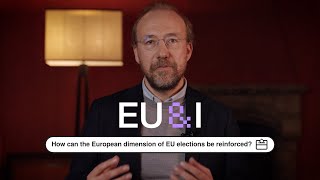How can the European dimension of EU elections be reinforced? - Maarten Vink