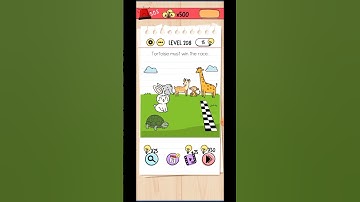 Brain test level 208 solution / tortoise must win the race.