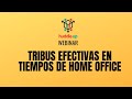 Workshop online: Tribus efectivas en tiempos de home office