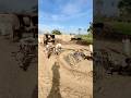 Old guna guse machine #shorts #trending #farming #foryou