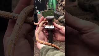 My Dad Always Said Yes To The Weirdest Requests...