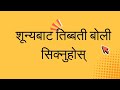 तिब्बती भाषामा छ, छैन, हो, होइन, हुँ, रहेछहरू कसरी प्रयोग गर्ने?#tibetan #language #helpingverbs