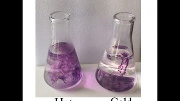 The Science behind diffusion: Hot vs Cold water experiment