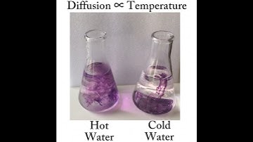 The Science behind diffusion: Hot vs Cold water experiment