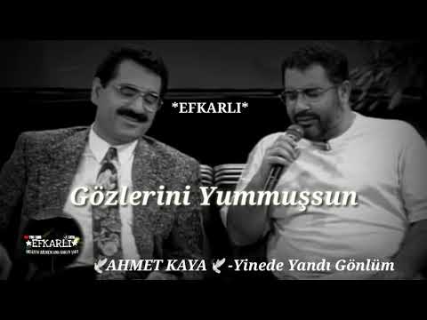 AHMET KAYA - Yinede yandı gönlüm (Whatsapp durumu)