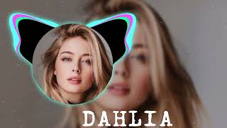 Download Lagu Dahlia Remix 2024 | Floral Essence by Marcus James | Original Track by Sofia Rivera MP3 Download Lagu Dahlia Remix 2024 | Floral Essence by Marcus James | Original Track by Sofia Rivera MP3