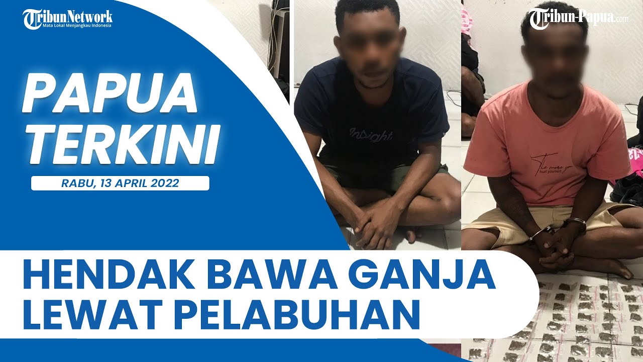 PAPUA TERKINI: 2 Pemuda Tertangkap di Pelabuhan Jayapura, Hendak Bawa Ganja ke Nabire dan Manokwari