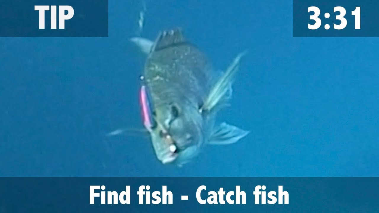 Find Fish, Catch Fish Fish Finder Basics YouTube