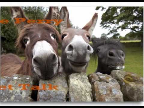 Steve Perry 'Strung Out' animals.....wmv / Lyrics