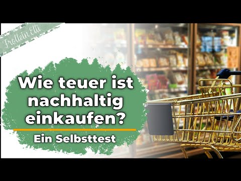 Festes Shampoo Im Vergleich Weitere 6 Shampoos Aus Der Drogerie Fur Euch Im Test Youtube