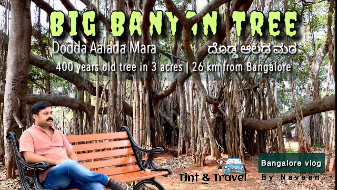 Bangalore vlog | Dodda Aalada Mara | Big Banyan Tree | 400-year-old in ...