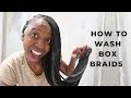 How to Wash Your Box Braids | Dealing with Dandruff