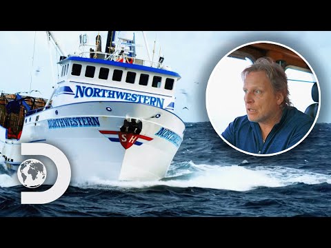 Video: Merito del capitano Sig Hansen