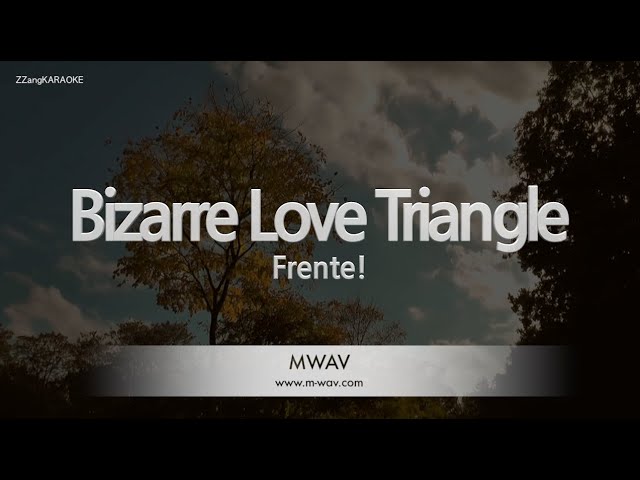 Frente!-Bizarre Love Triangle (Karaoke Version) class=