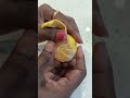 This is not lemon 