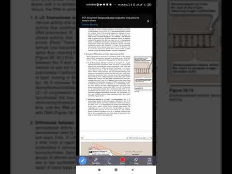 Functions of DNA polymerase esp its Exonuclease activity