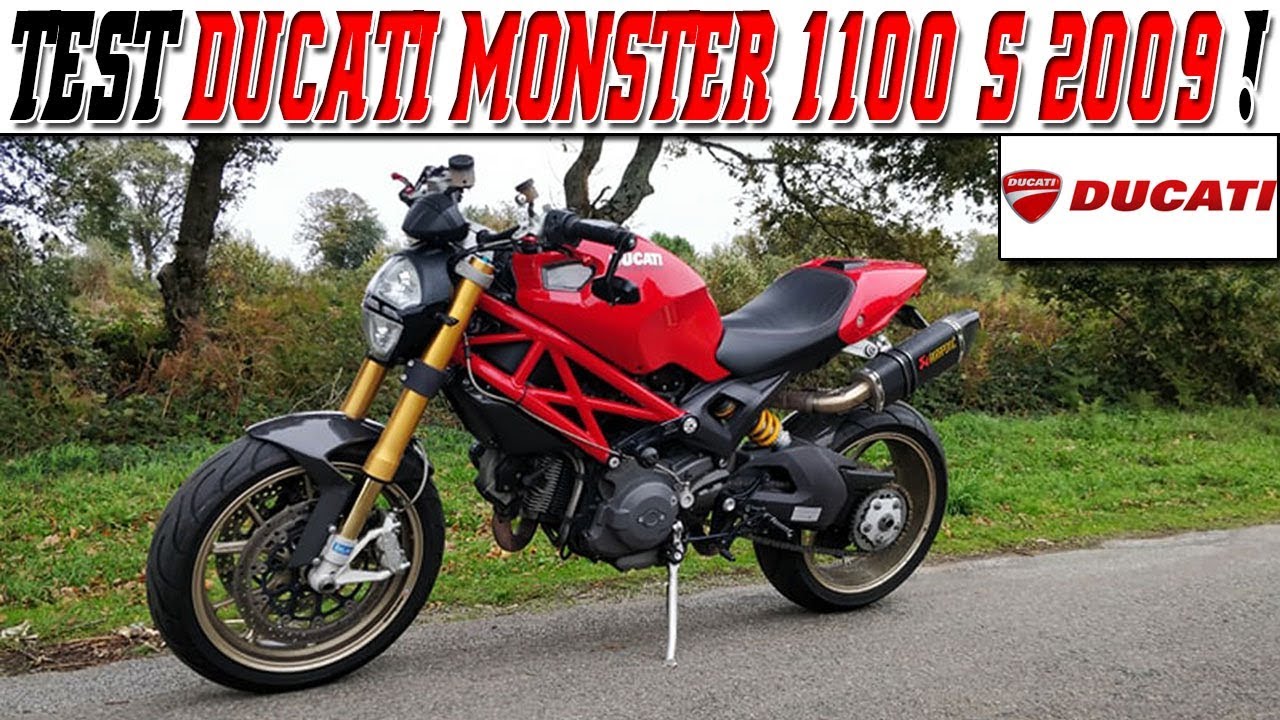 lord puma ducati monster