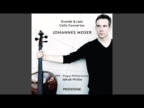 Cello Concerto In B Minor, Op. 104, B. 191: I. Allegro
