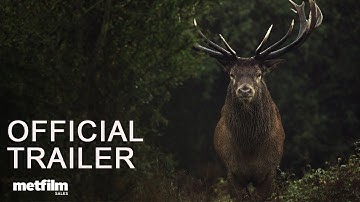 Wilding I Official Trailer I MetFilm Sales