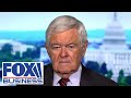 Every American should be worried about this &#39;deliberate political effort,&#39; Gingrich warns