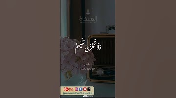 واصبر وما صبرك إلا بالله #قرآن_الكريم #تلاوة #إذاعة_المشكاة #تونس #الجزائر #المغرب