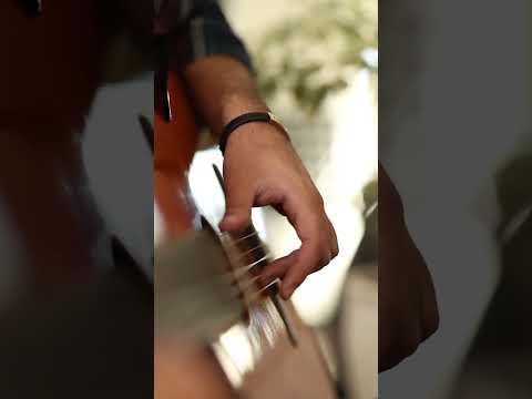 For Broken Hearts Guitar Rumba Classic Flamingo Where You Can Find Such Like This Music