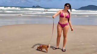 🇧🇷 Sao Paulo Guarujá Beach Walking Tour Brazil
