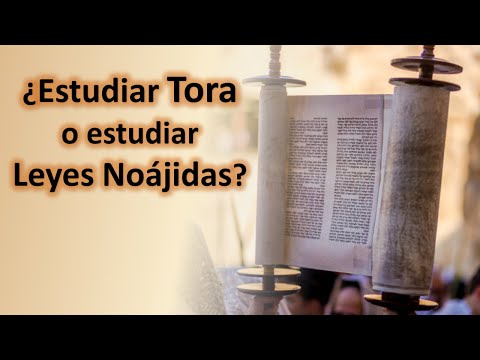 Un noájida debe estudiar Tora o solo las Leyes Noájidas?