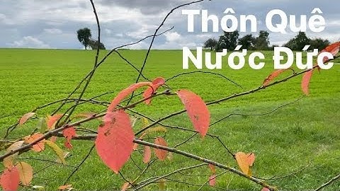 Vườn rau mùa thu | cuộc sống Thôn quê nước Đức | Khám phá vùng quê | Nước Đức | cuộc sống ở Đức
