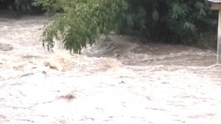 Banjir Desa Lateng Rogojampi Banyuwangi
