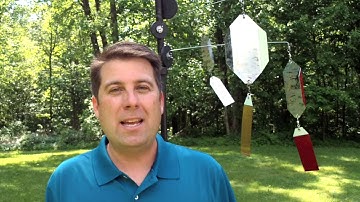 Bird Control - Intimidator