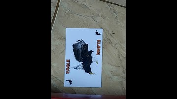 PAC 2019 - Gondo Mayit Team - Aplikasi Pengenalan Hewan Berbasis Augmented Reality