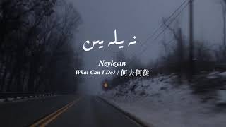 Naylayin - xirali imin (bagang) / uyghur kona nahxa