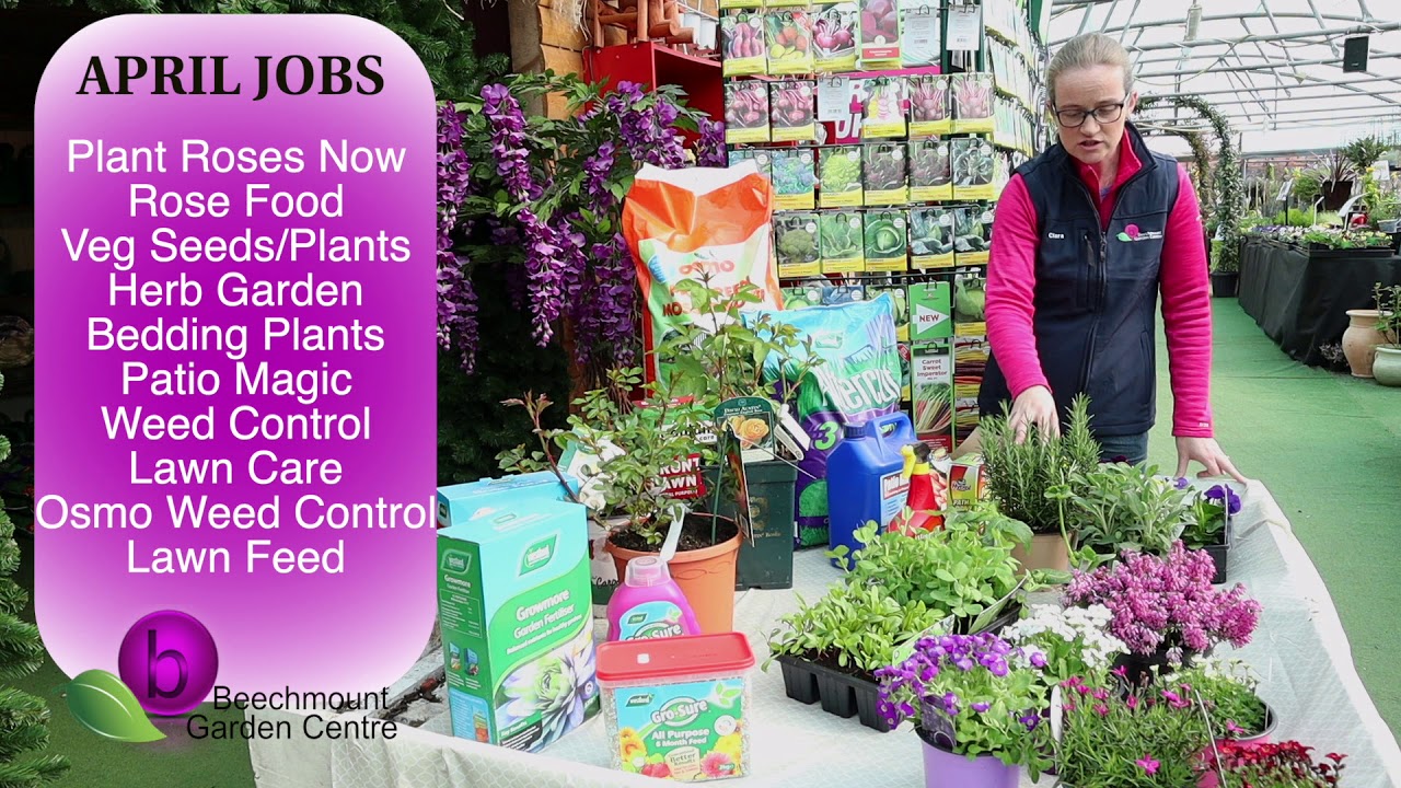 Helpfull Tips From Beechmount Garden Centre Navan Youtube