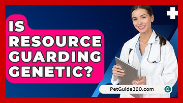 Is Resource Guarding Genetic? - PetGuide360.com