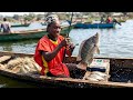 NGW ANA MLAGE SONG TWIMANE Official Video 2026 By Dr Shitakwepa Africa 