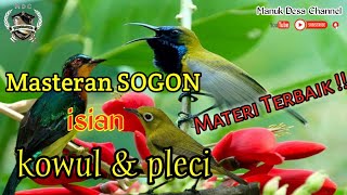 MASTERAN SOGON MATERI TERBAIK KOWUL \u0026 PLECI