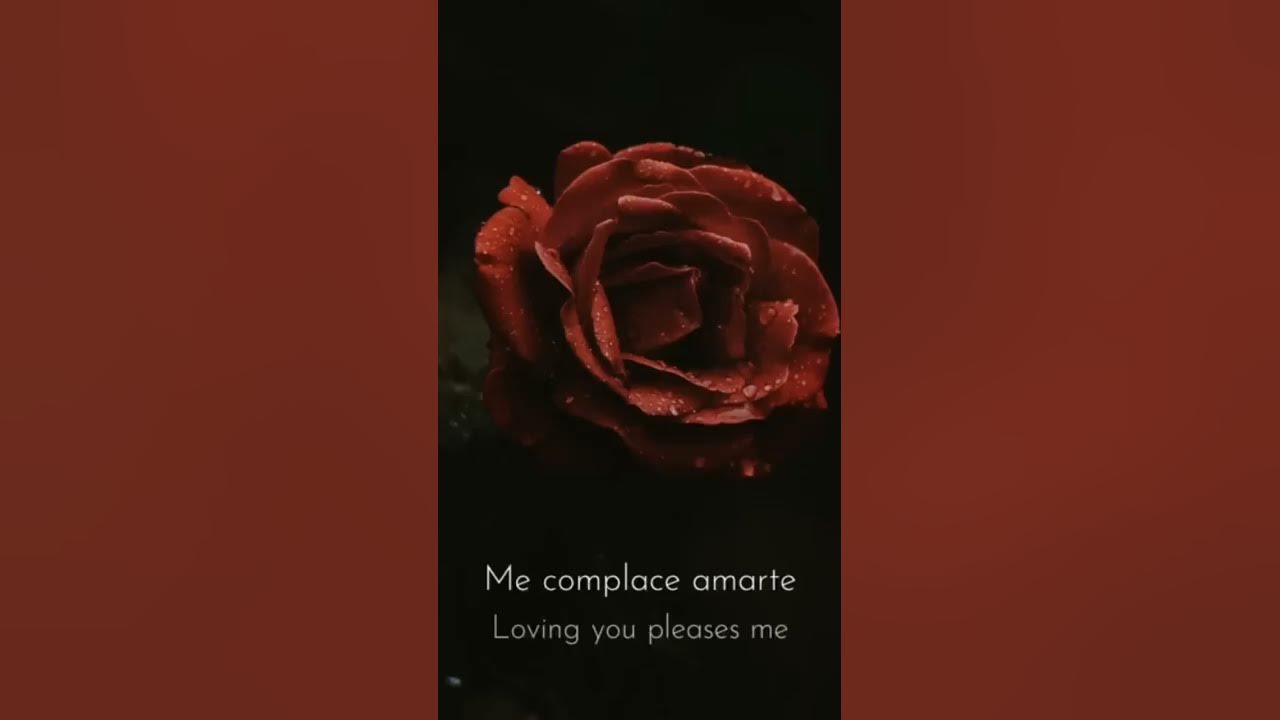 ℹ️ Carla Morrison - Disfruto (Letra en Español & English Translation) 😊😊😊😊