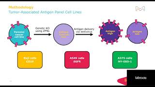 Genetically Engineered Immuno oncology Cell Lines and Services for Early Drug Discovery Research...