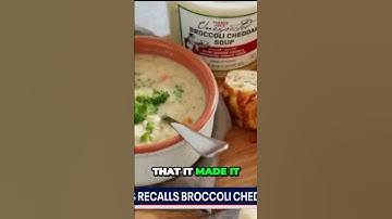 Gross Discovery Bugs Found in Trader Joes Broccoli Cheddar Soup