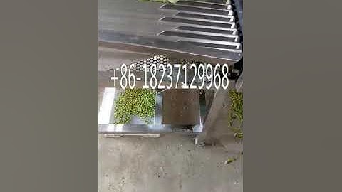 Green soy bean Edamame sheller machine Garden Pea shelling machine