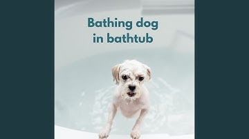 Debonair Moods for Forgetting Mirrors